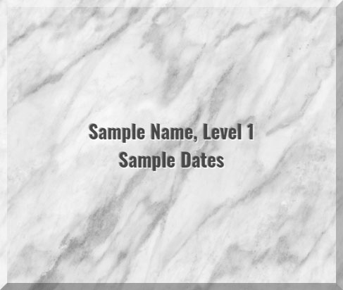 Sample image of Level 1 tile