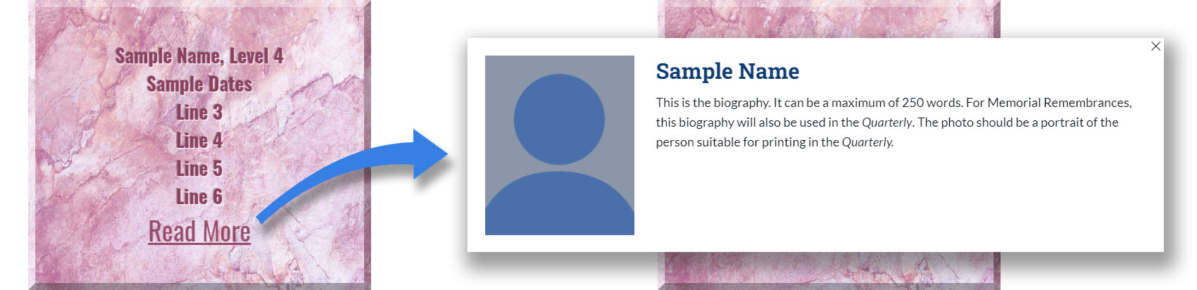 Sample of Level 4 tile with photo and biography